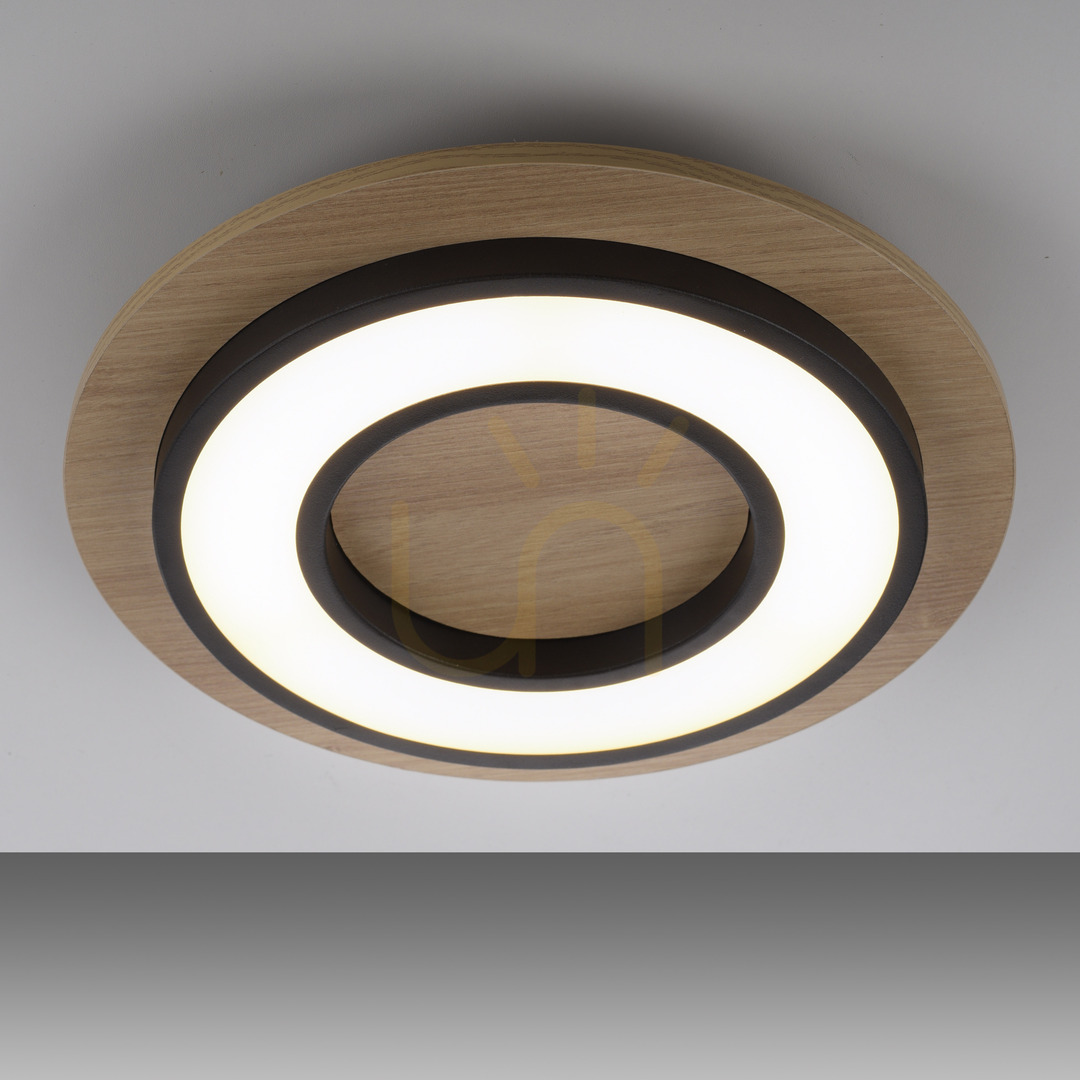 Check TOLA plafond 14560-18 Black 1xLED TOLA plafond 14560-18 Black 1xLED