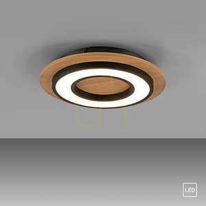 TOLA plafond 14560-18 Black 1xLED 11 TOLA plafond 14560-18 Black 1xLED small 11