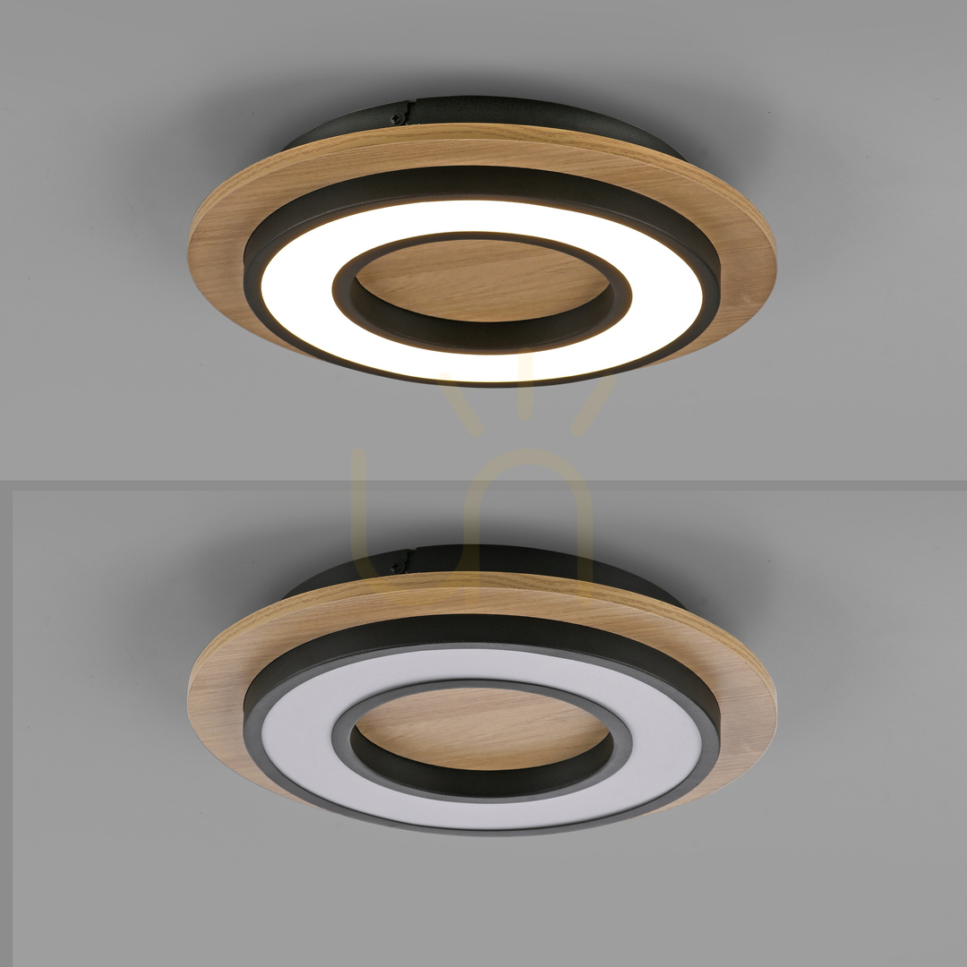 Preview TOLA plafond 14560-18 Black 1xLED TOLA plafond 14560-18 Black 1xLED