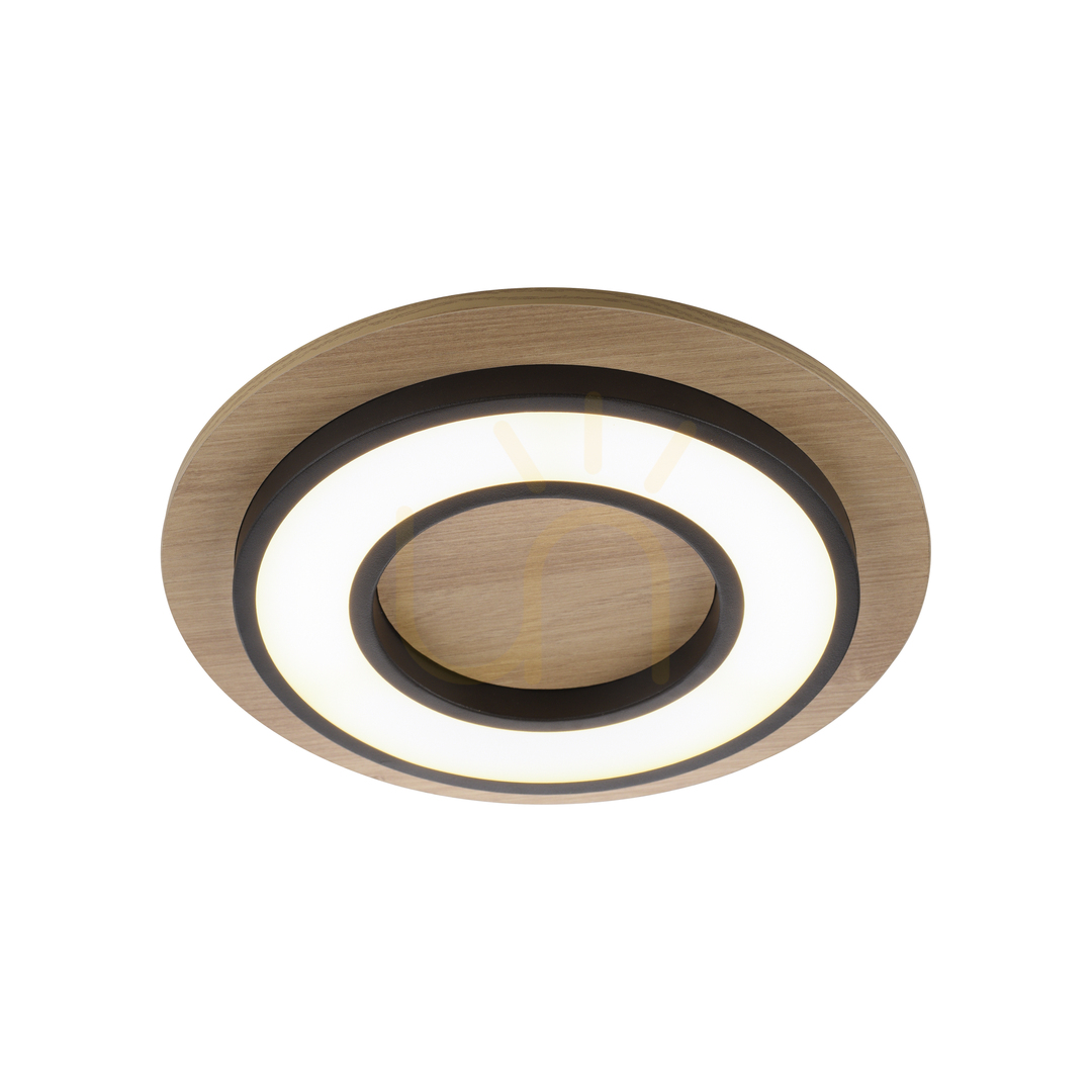 Preview TOLA plafond 14560-18 Black 1xLED TOLA plafond 14560-18 Black 1xLED