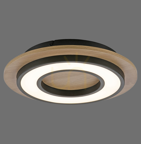 Check TOLA plafond 14560-18 Black 1xLED