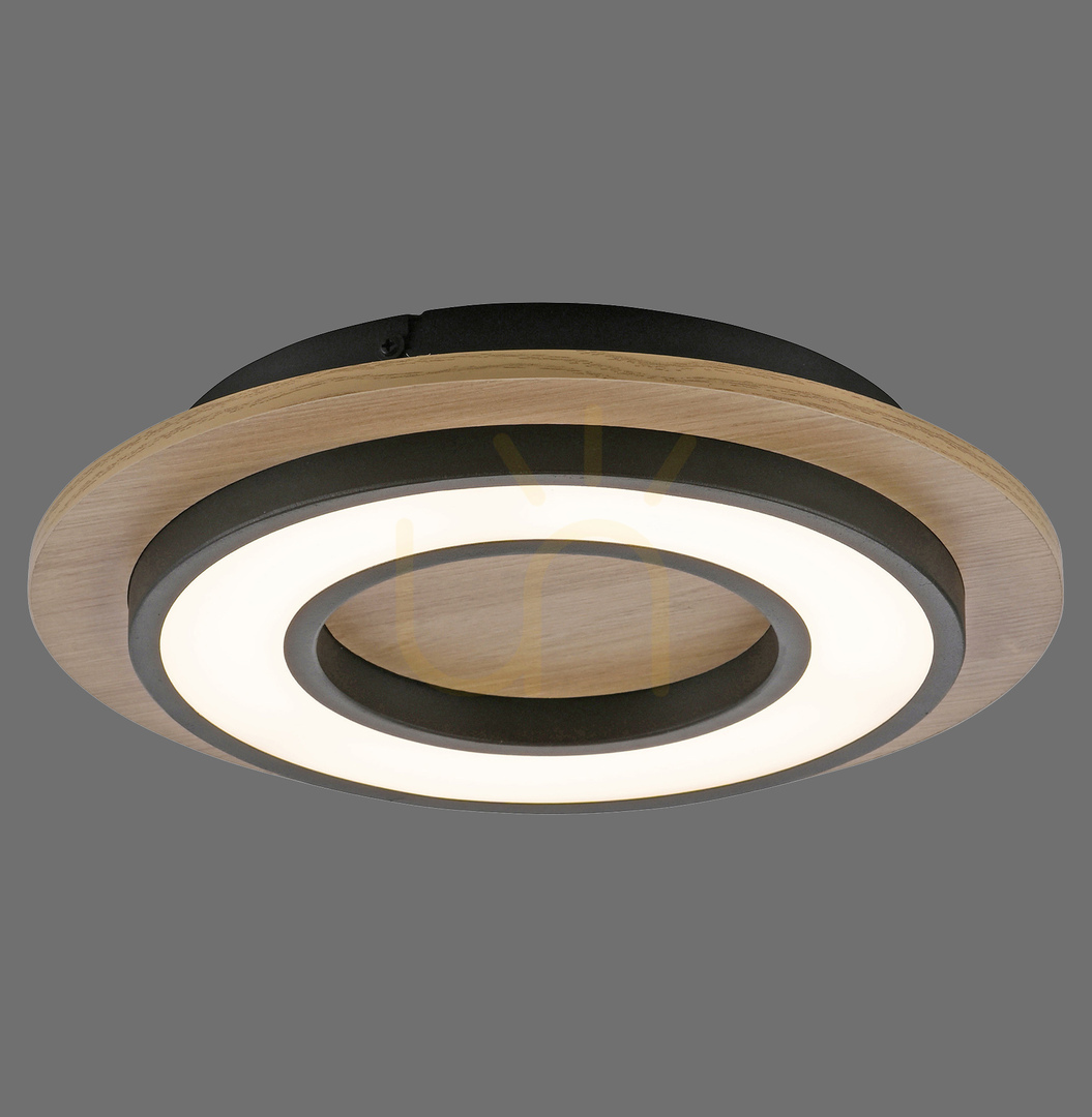 TOLA plafond 14560-18 Black 1xLED