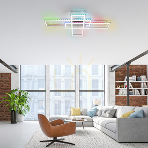 Plafond FELIX60 14637-55 Silver 2xLED 2 Plafond FELIX60 14637-55 Silver 2xLED small 2