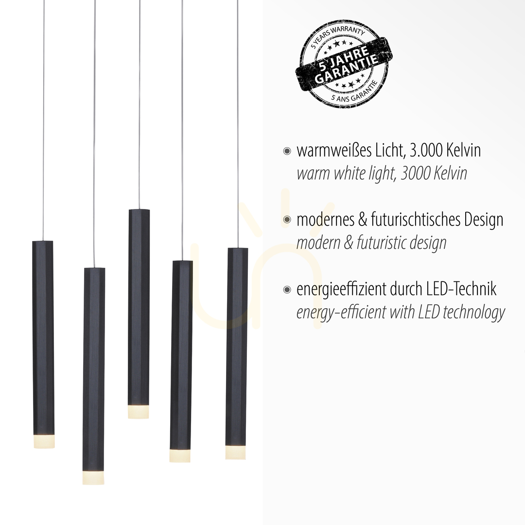Display BRUNO Pendant Lamp 15206-18 Black 10xLED BRUNO Pendant Lamp 15206-18 Black 10xLED