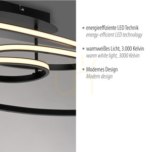 LUMACA Plafond 15321-18 Black 1xLED 3 LUMACA Plafond 15321-18 Black 1xLED small 3