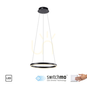 RITUS Pendant Lamp 15393-13 Anthracite 1xLED 1 RITUS Pendant Lamp 15393-13 Anthracite 1xLED small 1