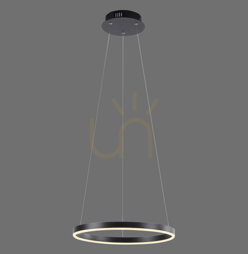 Check RITUS Pendant Lamp 15393-13 Anthracite 1xLED