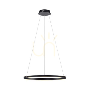 RITUS Pendant Lamp 15394-13 Anthracite 1xLED 6 RITUS Pendant Lamp 15394-13 Anthracite 1xLED small 6