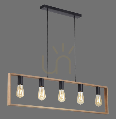 Check FRANKY Pendant Lamp 15653-18 Black 5xE27