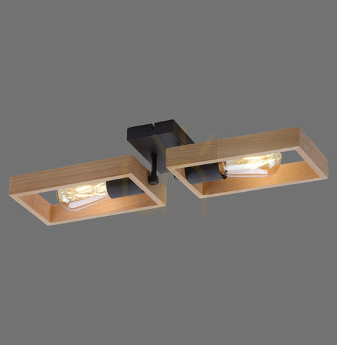Check Plafond FRANKY 15657-18 Black 2xE27