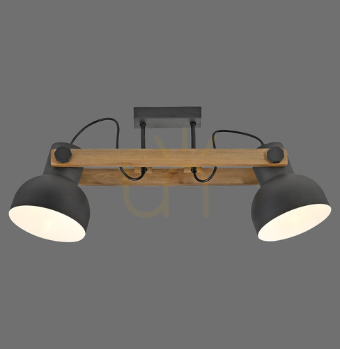 Check Plafond CUP 2.0 15744-18 Black 2xE27
