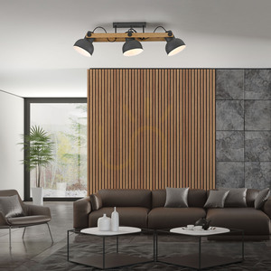 Plafond CUP 2.0 15745-18 Black 3xE27 small 2
