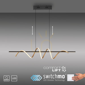 EMANDA Pendant Lamp 19113-68 Brass 1xLED small 10