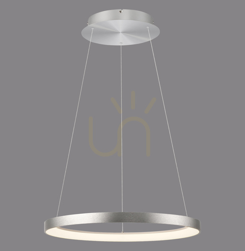 Check HOOP Pendant Lamp 2851-95 Silver 1xLED