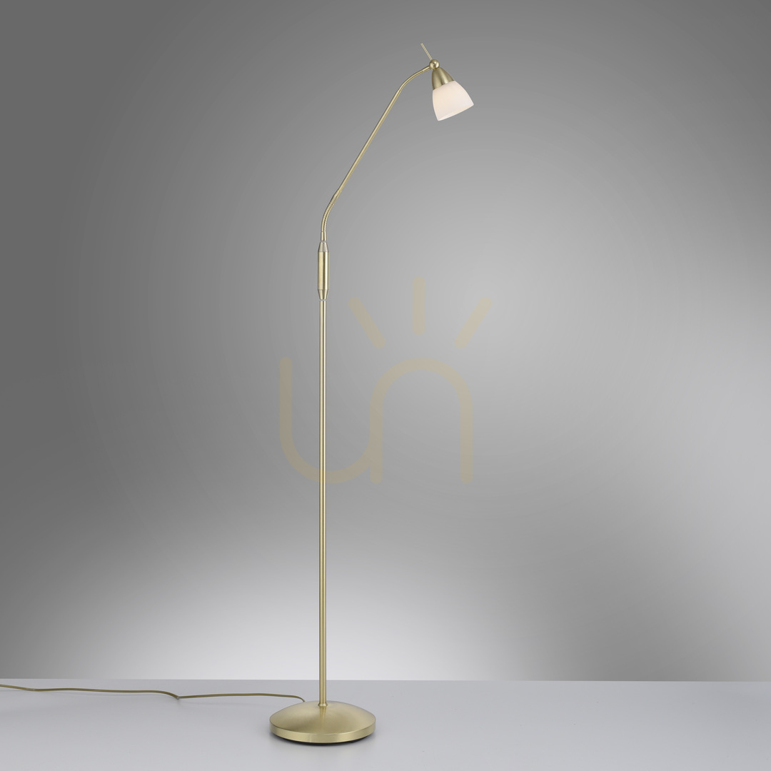 Check PINO Floor Lamp 400-60 Brown 1xG9 PINO Floor Lamp 400-60 Brown 1xG9