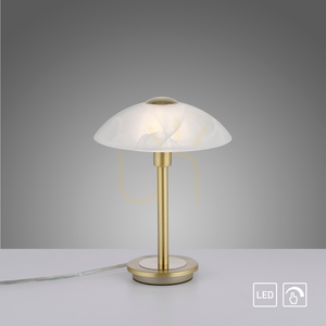 ENOVA 4026-60 table lamp, matt brass, touch dimmer, 1xG9 small 12