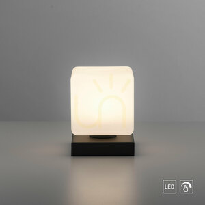 DADOA Table Lamp 4036-13 Anthracite 1xLED small 10