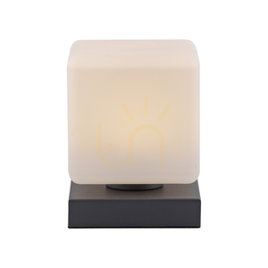 DADOA Table Lamp 4036-13 Anthracite 1xLED small 11