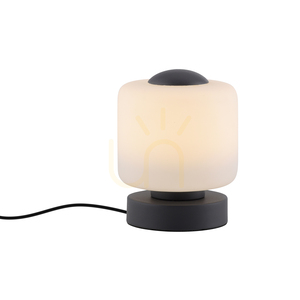 BOTA Table Lamp 4037-13 Anthracite 1xLED 1 BOTA Table Lamp 4037-13 Anthracite 1xLED small 1