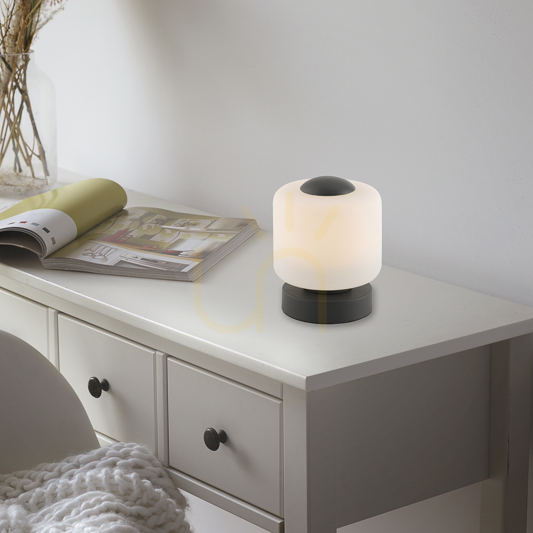 Preview BOTA Table Lamp 4037-13 Anthracite 1xLED BOTA Table Lamp 4037-13 Anthracite 1xLED