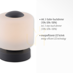 BOTA Table Lamp 4037-13 Anthracite 1xLED 3 BOTA Table Lamp 4037-13 Anthracite 1xLED small 3