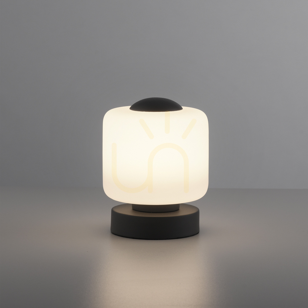 Show BOTA Table Lamp 4037-13 Anthracite 1xLED BOTA Table Lamp 4037-13 Anthracite 1xLED