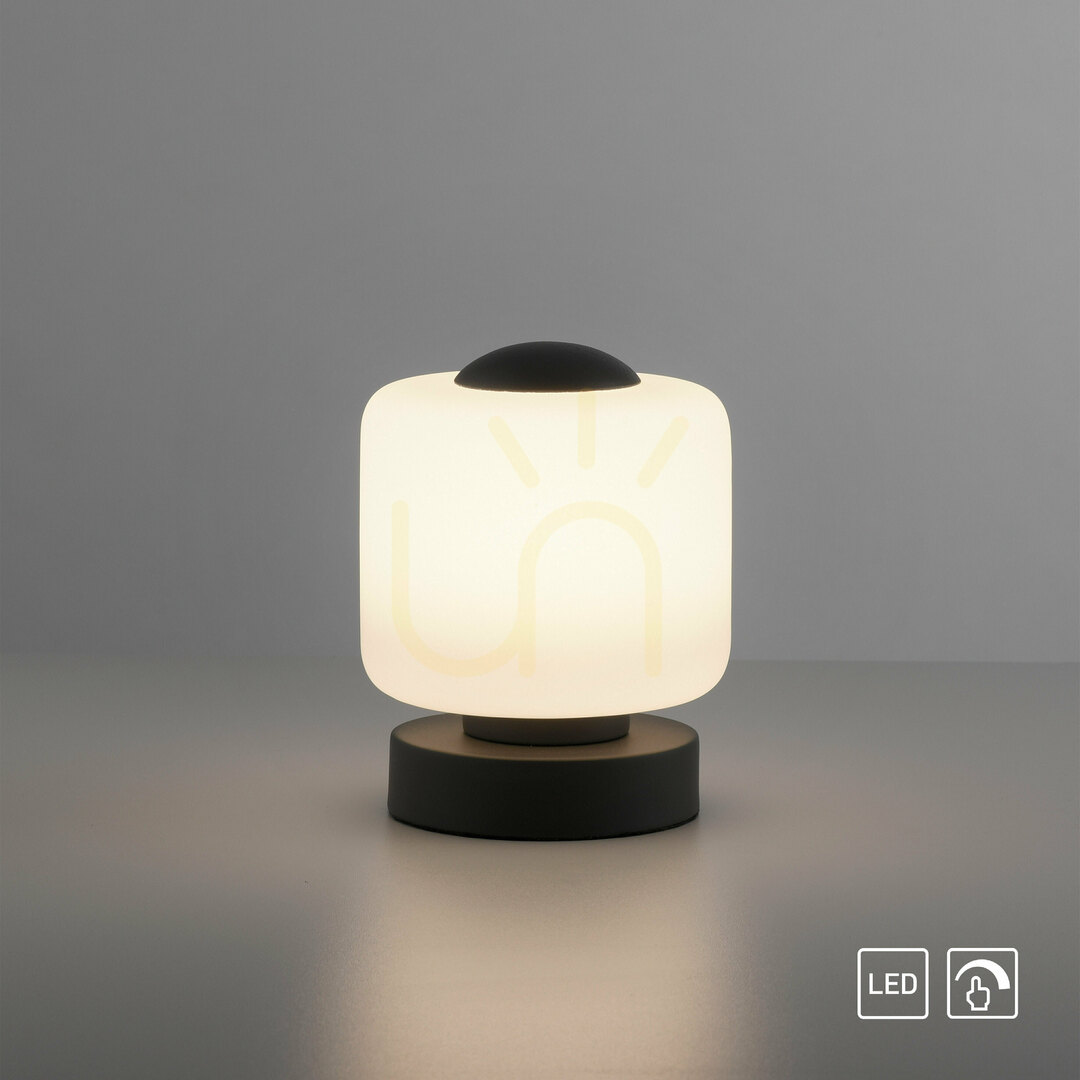 Show BOTA Table Lamp 4037-13 Anthracite 1xLED BOTA Table Lamp 4037-13 Anthracite 1xLED
