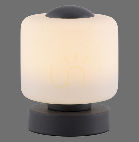 Check BOTA Table Lamp 4037-13 Anthracite 1xLED