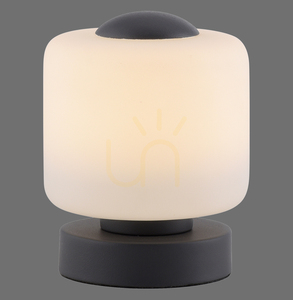 BOTA Table Lamp 4037-13 Anthracite 1xLED 0 BOTA Table Lamp 4037-13 Anthracite 1xLED small 0