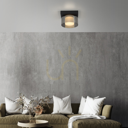 Check Paul Neuhaus RIKA 6162-18 black LED ceiling light, smoked glass, 3000 K