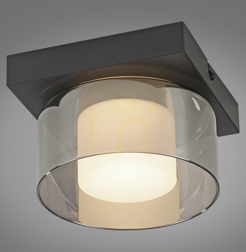 Check Plafond RIKA 6162-18 Black 1xLED