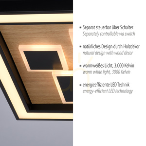 Plafond ELIZA 6283-79 Black 1xLED small 3