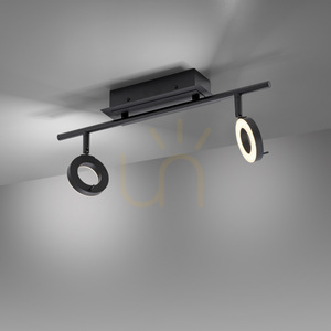 Paul Neuhaus SILEDA 6781-13 Ceiling Spotlight Anthracite 2xLED small 10