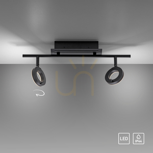 Paul Neuhaus SILEDA 6781-13 Ceiling Spotlight Anthracite 2xLED small 12