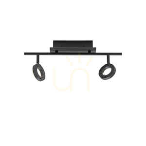 Paul Neuhaus SILEDA 6781-13 Ceiling Spotlight Anthracite 2xLED small 13