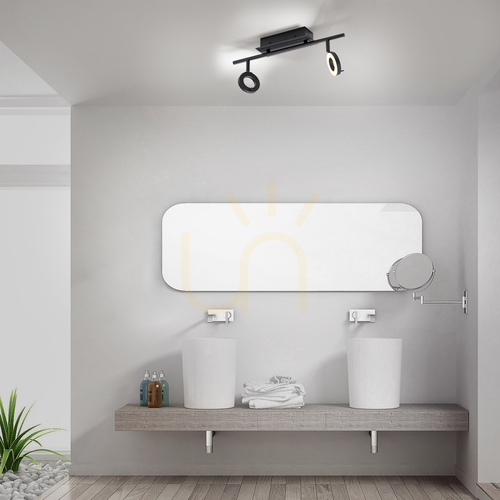 Check Paul Neuhaus SILEDA 6781-13 Ceiling Spotlight Anthracite 2xLED