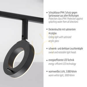 Paul Neuhaus SILEDA 6781-13 Ceiling Spotlight Anthracite 2xLED small 3