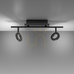 Paul Neuhaus SILEDA 6781-13 Ceiling Spotlight Anthracite 2xLED small 5