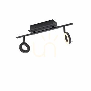 Paul Neuhaus SILEDA 6781-13 Ceiling Spotlight Anthracite 2xLED small 7