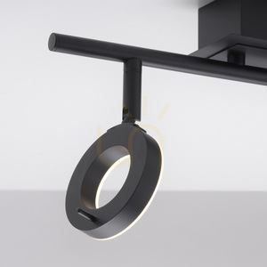 Paul Neuhaus SILEDA 6781-13 Ceiling Spotlight Anthracite 2xLED small 9