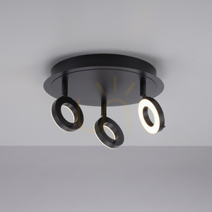 Paul Neuhaus SILEDA 6788-13 anthracite LED ceiling light 3000 K IP44 small 10