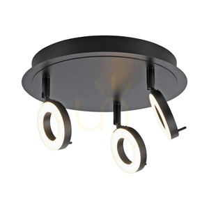 Paul Neuhaus SILEDA 6788-13 anthracite LED ceiling light 3000 K IP44 small 13