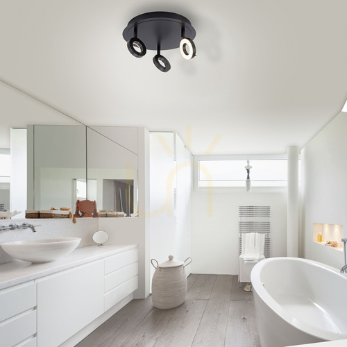 Check Paul Neuhaus SILEDA 6788-13 anthracite LED ceiling light 3000 K IP44