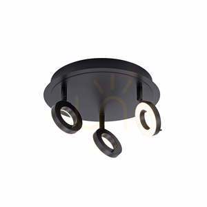 Paul Neuhaus SILEDA 6788-13 anthracite LED ceiling light 3000 K IP44 small 6