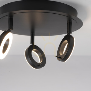 Paul Neuhaus SILEDA 6788-13 anthracite LED ceiling light 3000 K IP44 small 8