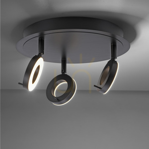 Paul Neuhaus SILEDA 6788-13 anthracite LED ceiling light 3000 K IP44 small 9