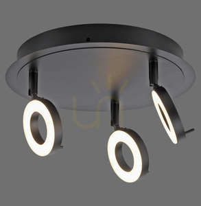 Paul Neuhaus SILEDA 6788-13 anthracite LED ceiling light 3000 K IP44 small 0
