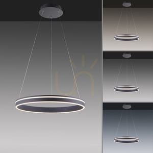 Q-VITO 8411-13 Anthracite 1xLED Pendant Lamp small 4
