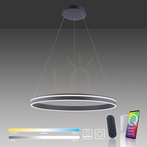 Q-VITO 8412-13 Anthracite 1xLED Pendant Lamp 10 Q-VITO 8412-13 Anthracite 1xLED Pendant Lamp small 10