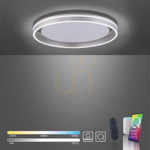 Plafond Q-VITO 8416-55 Silver 1xLED small 10